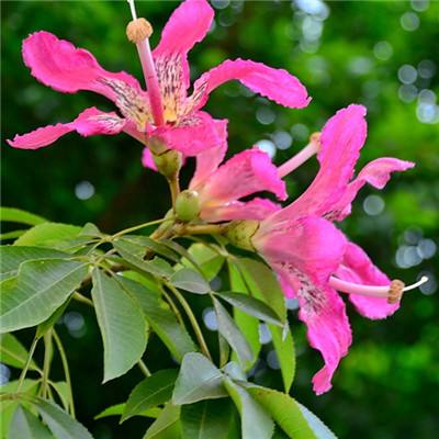 亚搏平台最新版app下载